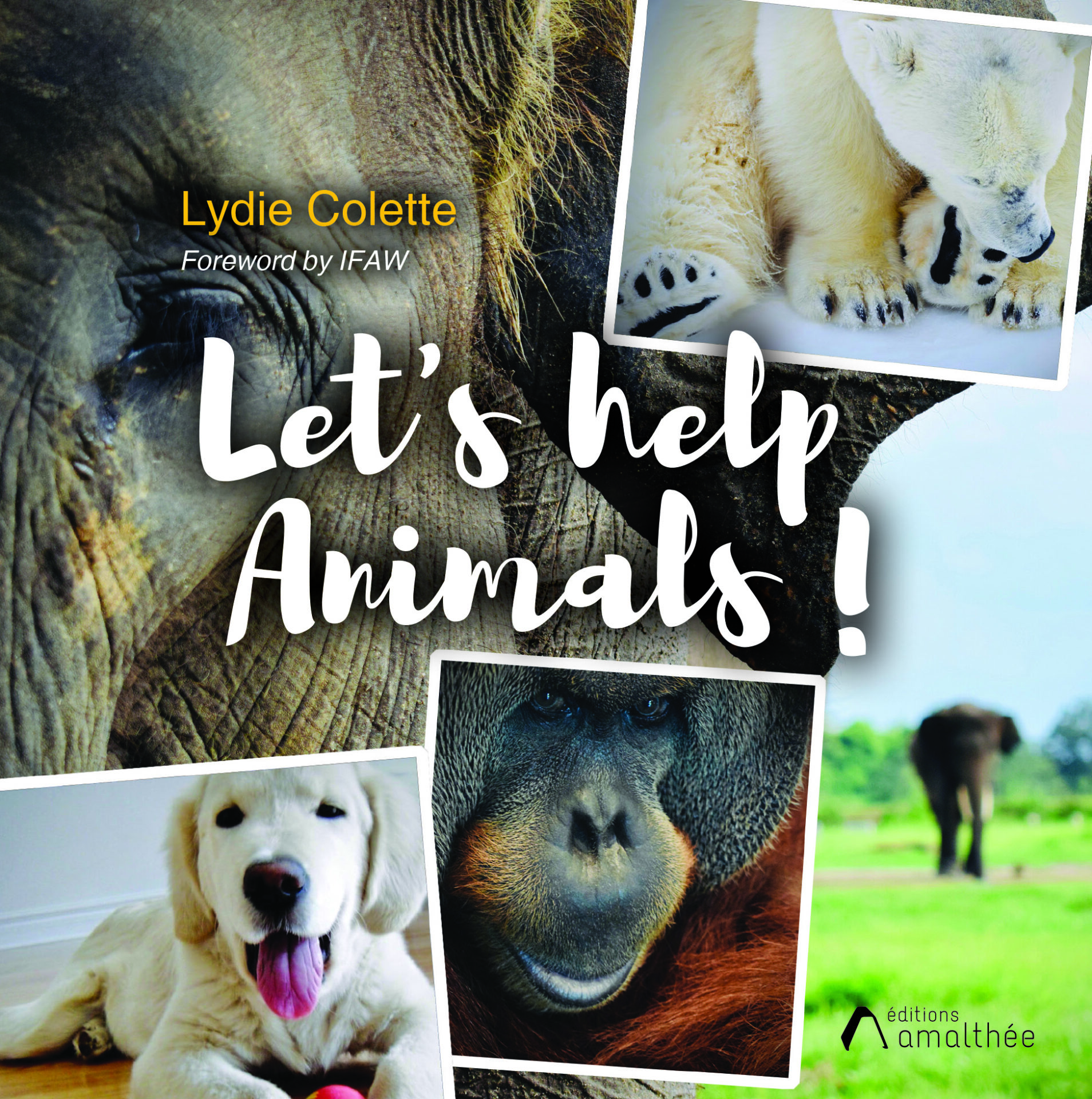 Let's help animals !