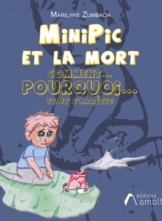 MiniPic et la mort ! Comment, pourquoi, tout s’arrête ?
