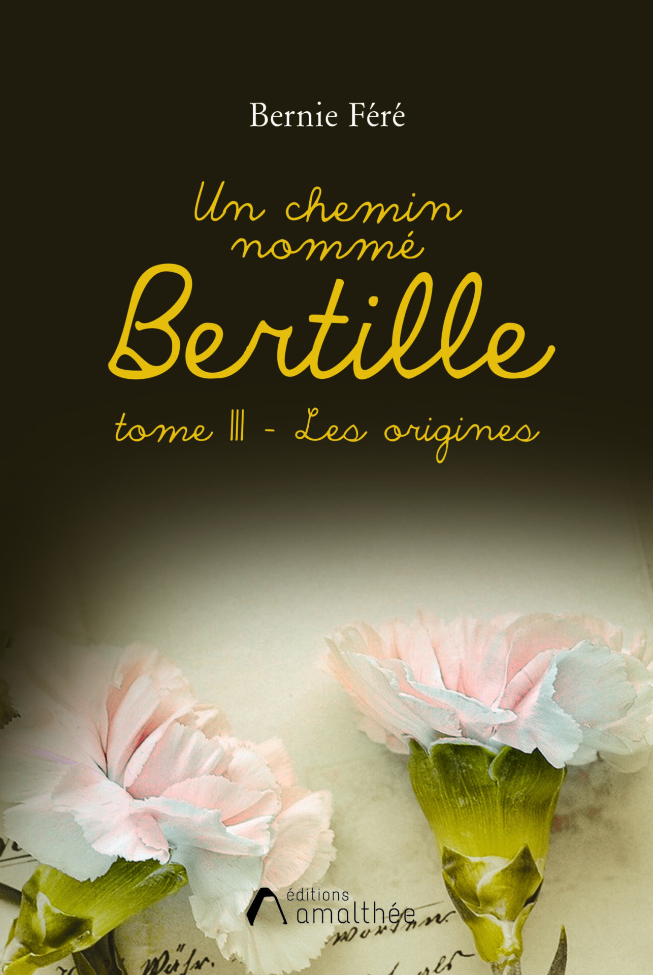 Un chemin nommé Bertille Tome 3