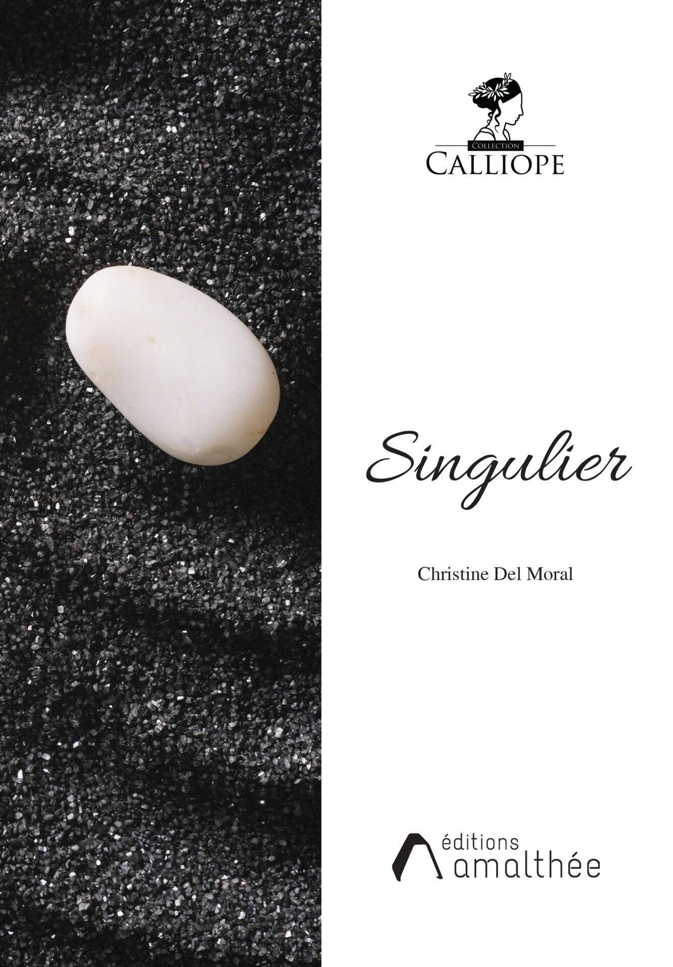 Singulier – Image 2
