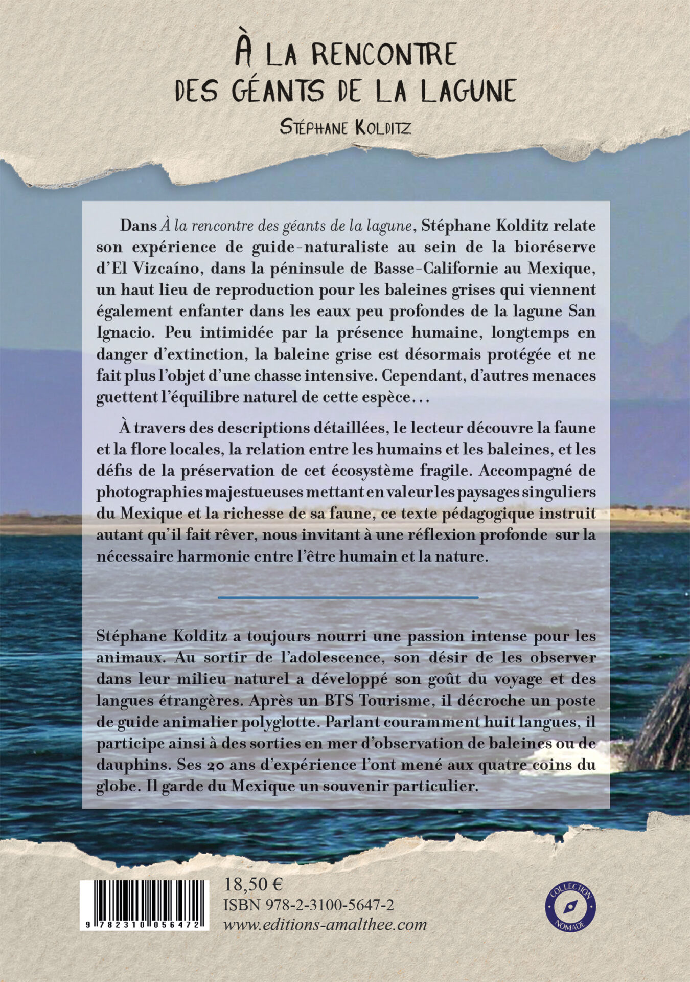 À la rencontre des géants de la lagune – Image 2