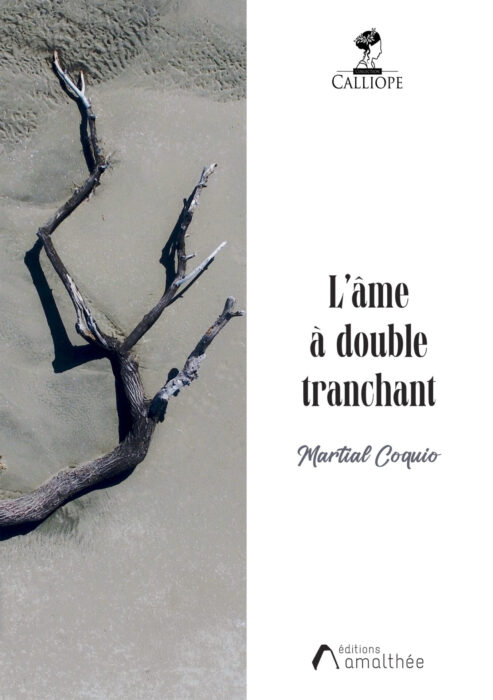 L'âme à double tranchant
