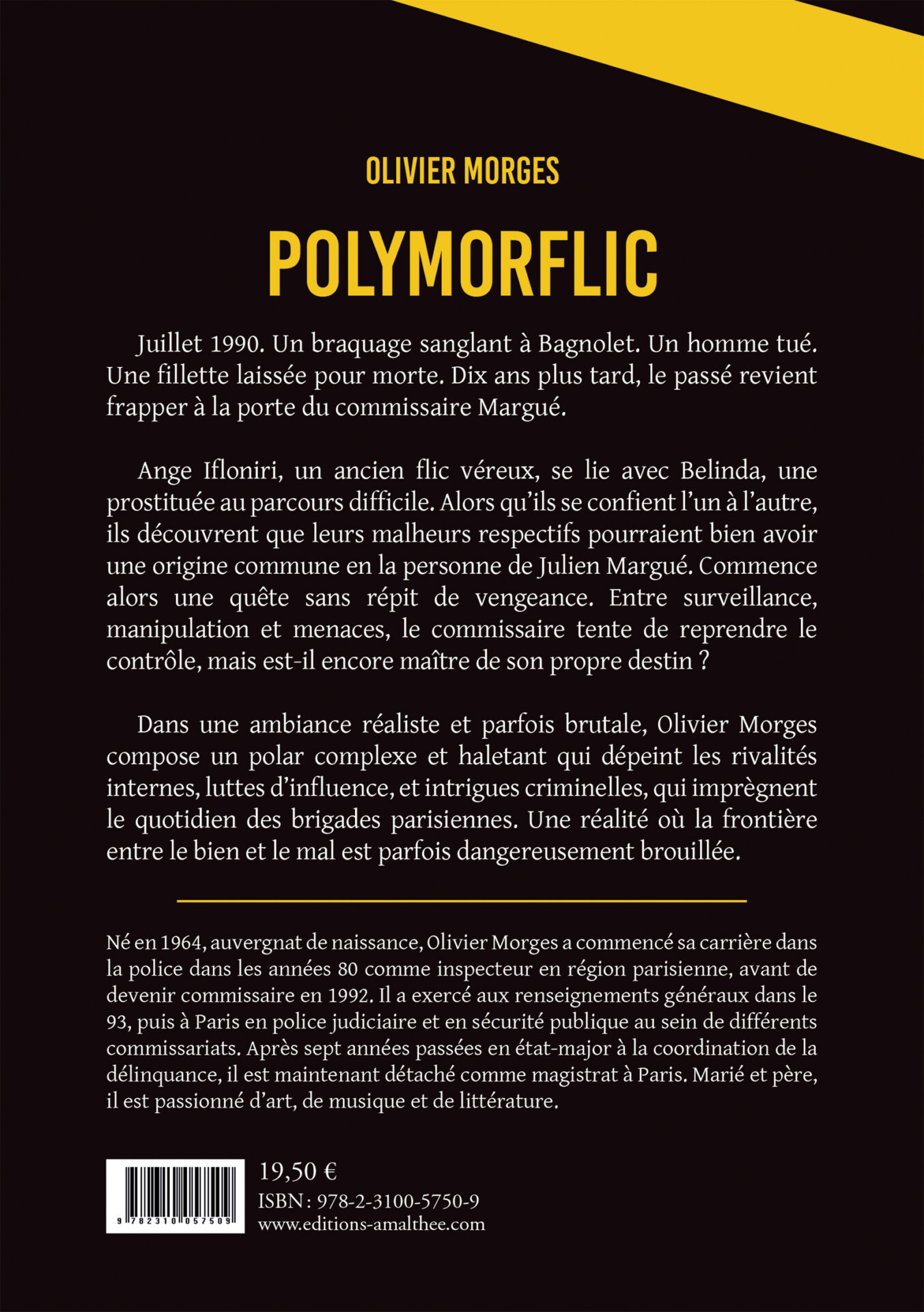 POLYMORFLIC – Image 2