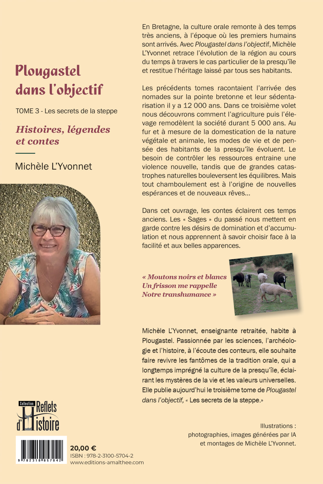 Plougastel dans l'objectif - Tome 3 : Les secrets de la steppe – Image 2