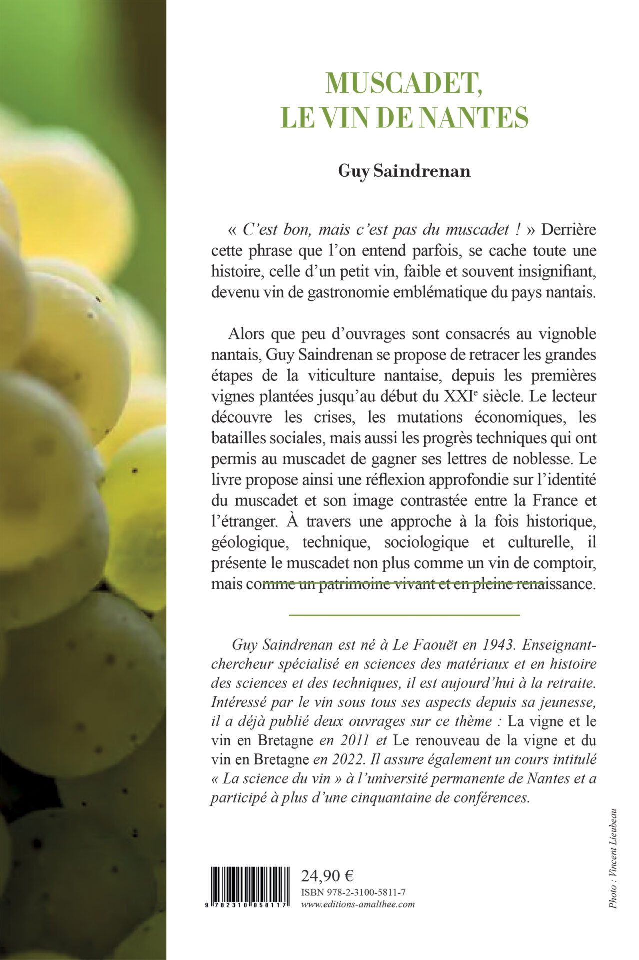 Muscadet, le vin de Nantes – Image 2