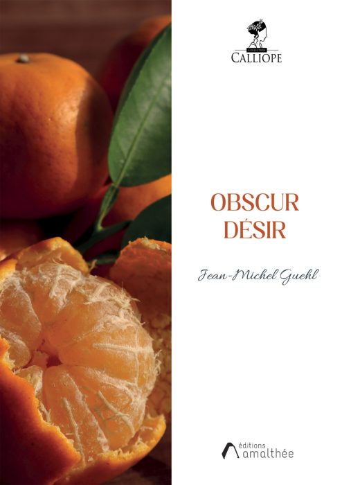 Obscur désir